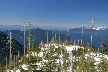 Cypress Mountain, Canada Stock Photos