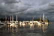 Coal Harbour