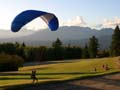 Burnaby Mountain Park, Canada Stock Photographs