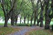 Stanley Park, Canada Stock Photographs