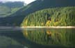 Cleveland Dam, North Vancouver