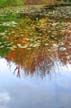 VanDusen Botanical Garden, Canada Stock Photographs