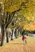 English Bay Beach, Canada Stock Photographs