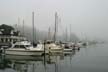 Coal Harbour Foggy Day, Canada Stock Photographs