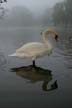 Lost Lagoon, Canada Stock Photographs