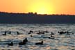 Englsih Bay, Canada Stock Photographs