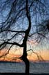 English Bay Sunset, Canada Stock Photographs