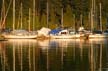 Boats, Coal Harbour