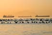 English Bay Sunset, Canada Stock Photographs