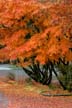 Fall Scenes, Canada Stock Photographs