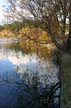 Lost Lagoon Fall Colors, Canada Stock Photographs