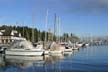 Coal Harbour Boats, Downtown Vancouver