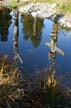 Reflections, Canada Stock Photographs