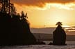 Siwash Rock Seawall, Canada Stock Photographs