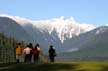 Lions Capilano Canyon Park, Canada Stock Photographs