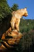 Chainsaw Art By Glen Greensides, Grouse Mountain