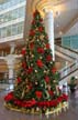 Xmas Trees Canada Place, Xmas Trees