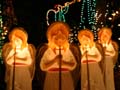 Bright Nights In Stanley Park, Christmas Nights