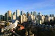 Westend-seagull's View, Canada Stock Photographs