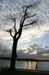 English Bay At Winter, Canada Stock Photographs