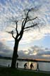 English Bay At Winter, Canada Stock Photographs