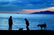 English Bay At Winter, Canada Stock Photographs