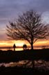 West Vancouver Ambleside Park, Canada Stock Photographs