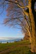 Winter, English Bay