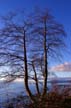 English Bay, Canada Stock Photographs