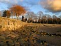 Second Beach Park At Winter, Canada Stock Photographs