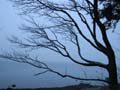 English Bay Winter, Canada Stock Photographs