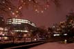 Winter Night, Canada Stock Photos