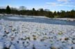 Winter Scenes, Stanley Park