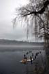 Winter Lost Lagoon, Canada Stock Photographs