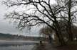 Lost Lagoon- Stanley Park Winter, Canada Stock Photographs