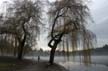 Lost Lagoon Winter, Canada Stock Photographs