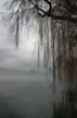 Lost Lagoon Winter, Canada Stock Photographs