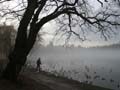 Lost Lagoon, Stanley Park