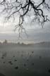 Lost Lagoon- Stanley Park Winter, Canada Stock Photographs