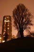 Winter Night, Canada Stock Photographs