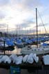 Jungle Of Masts, Canada Stock Photographs