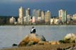 My Mermaid, Canada Stock Photographs