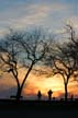 Lovers At Ambleside Beach, Canada Stock Photographs