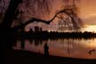 Lost Lagoon, Canada Stock Photographs