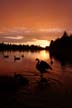 Lost Lagoon Sunset Stanley Park, Canada Stock Photographs