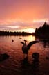 Sunset At Lost Lagoon, Stanley Park