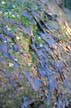 Stones Texture & Background, Canada Stock Photographs