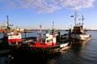 Lonsdale Quay Tugs, North Vancouver