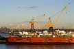 Cranes, Canada Stock Photos