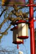 Chinatown Lamps, Chinatown Vancouver